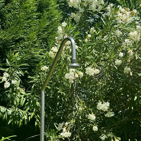 Quinta Da Ponte Dom wakacyjny Resende